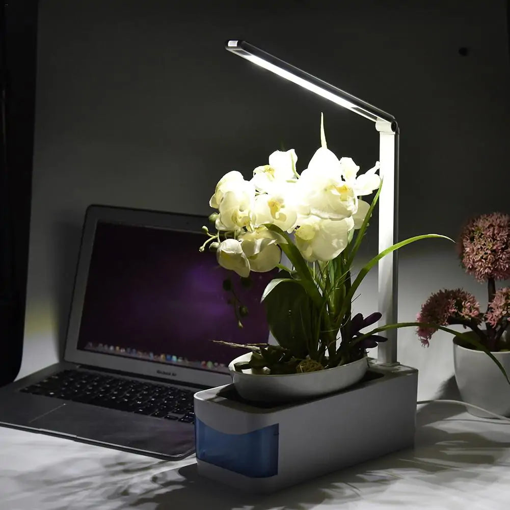 Smart Hydroponic Indoor Herb Garden Kit with LED Growth Light for Flowers and Vegetables - Asicalation